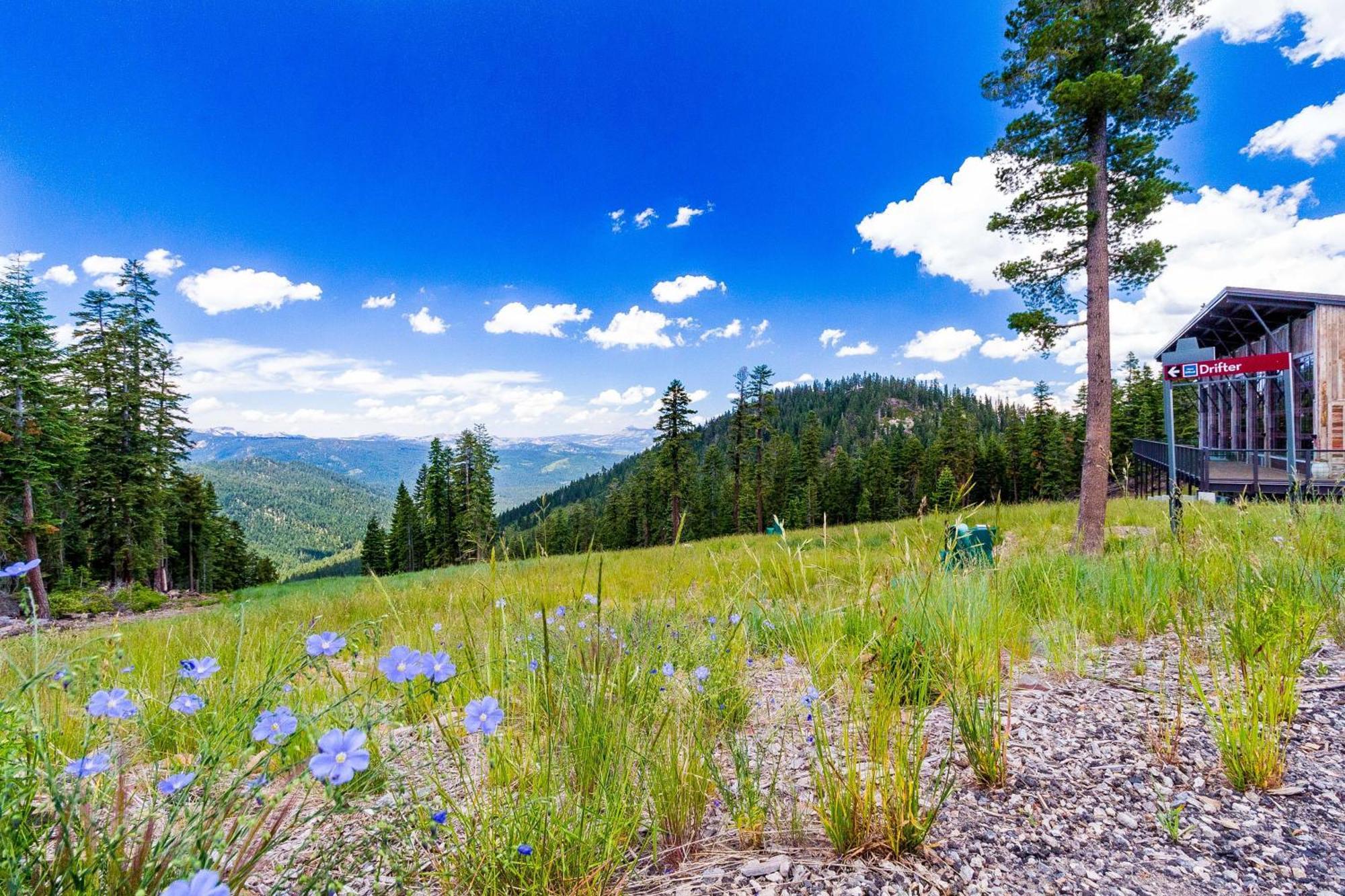 View Condo At Northstar Truckee Exterior foto